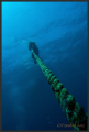   diver rope. rope  